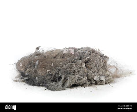 Collected Dust Stock Photos & Collected Dust Stock Images - Alamy