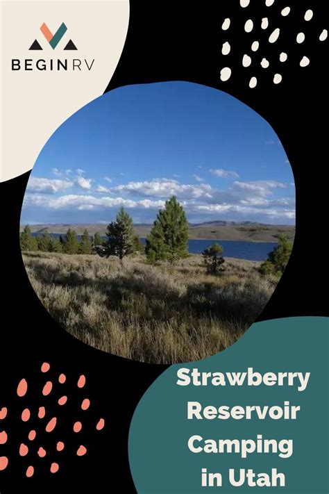 Strawberry Reservoir Camping | Utah camping, Camping guide, Nature adventure