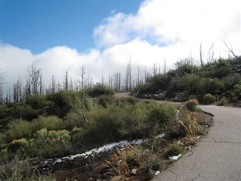 Cuyamaca Peak (Cuyamaca Rancho State Park)