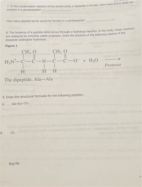 Solved 7. In the condensation reaction of two amino acids, a | Chegg.com