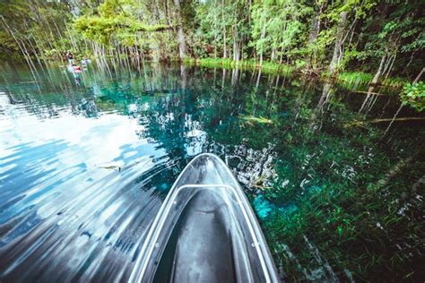 Top 10 Reasons To Visit Silver Springs | Get Up And Go Kayaking