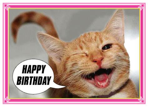 GINGER CAT KITTEN WINKING HAPPY BIRTHDAY CARD FREE POST 1ST CLASS | eBay