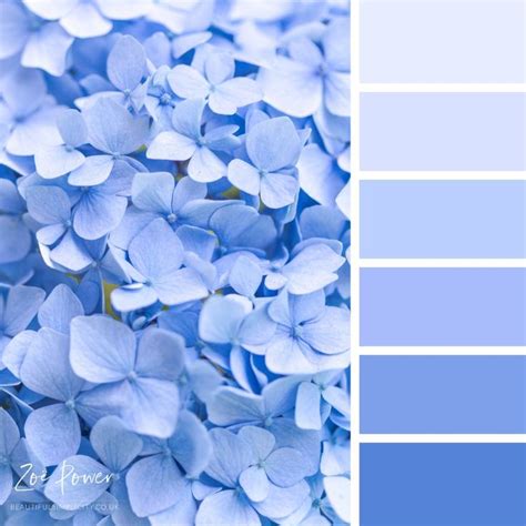 Colour Schemes, Colours, Blue Colour Palette, Color Schemes, Color Combos, Colour Pallette, Blue ...