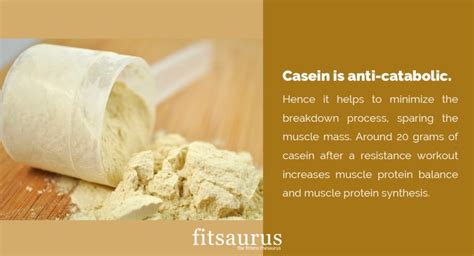 What Are The Benefits Of Casein Protein