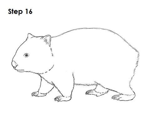 Wombat Drawing 16 | Wombat, Aboriginal dot art, Drawings