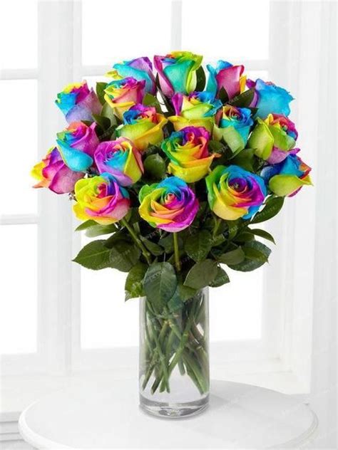 50 Seeds / Pack Rare Holland Rainbow Rose Seeds Of Perennial Rainbow Rose Seeds For Flowers ...