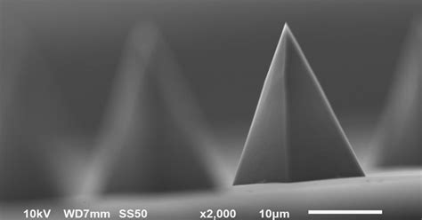 flexCL – AFM Cantilever - FlexInst Scientific