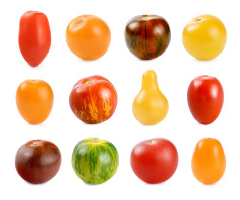 The GardenZeus Guide to Choosing the Best Tomato Varieties For Your Garden