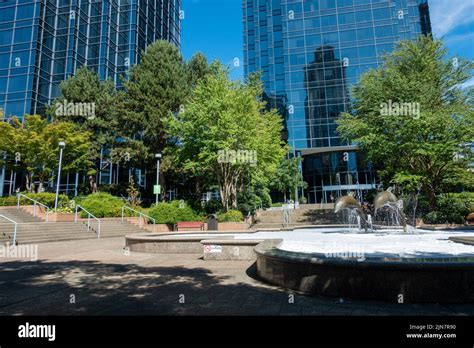 Metrotown dolphin water fountain sculpture Stock Photo - Alamy