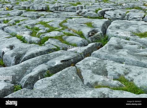 Limestone pavement glaciated karst landscape in The Burren, County ...