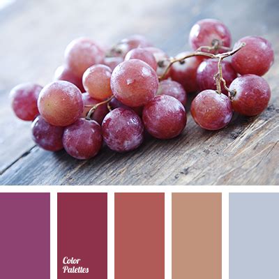 color of grapes | Color Palette Ideas