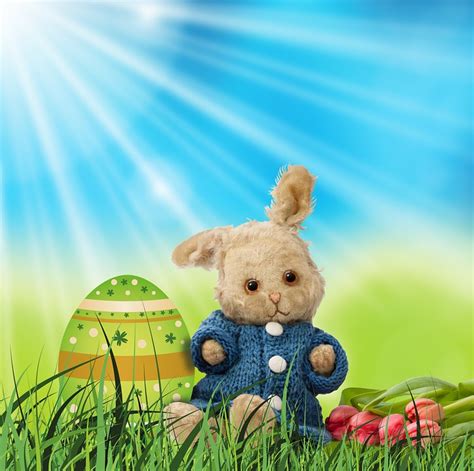 Easter Bunny Egg Spring · Free image on Pixabay