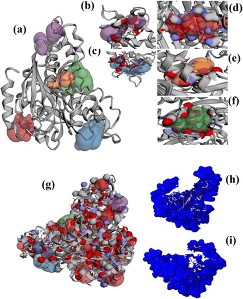 Carbonic anhydrase of Bacillus halodurans PO15 with its tertiary... | Download Scientific Diagram