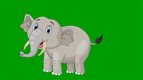 Elephant Green Screen | No Copyright | Goldmine Green Screen - YouTube