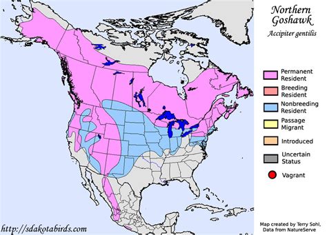 Northern Goshawk - Species Range Map