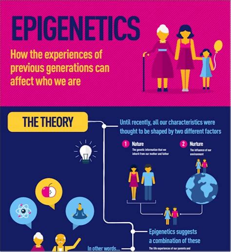 Epigenetics - 'Junk Genes' Responsible for Regulating the Genes