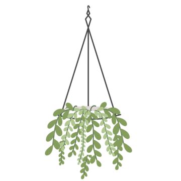 a green plant hanging from a metal frame
