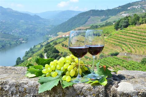 3-Day Tour of Porto + Douro Valley Wine Region - Portugal Magik