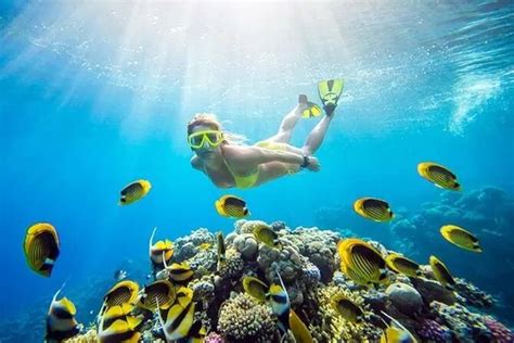 Canyon And Blue Hole Snorkeling Trip With Lunch From Dahab: Triphobo