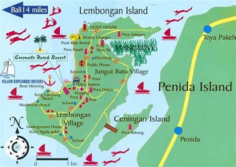 mushroom bay nusa lembongan - Recherche Google | Lembongan island, Bali, Bali cruise