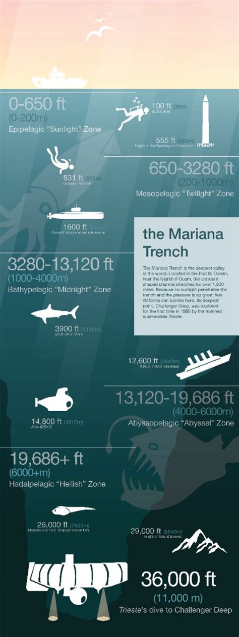 Mariana Trench Depth Diagram