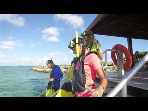 Snorkeling at De Palm Island Aruba with the famous Blue Parrot Fish ...