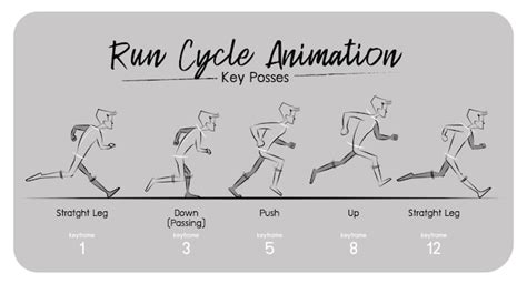 Premium Vector | Character walk and run cycle on keyframe step by step.