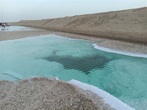 Al Wathba Salt Lakes: Another unique wonder of UAE - UAE24x7