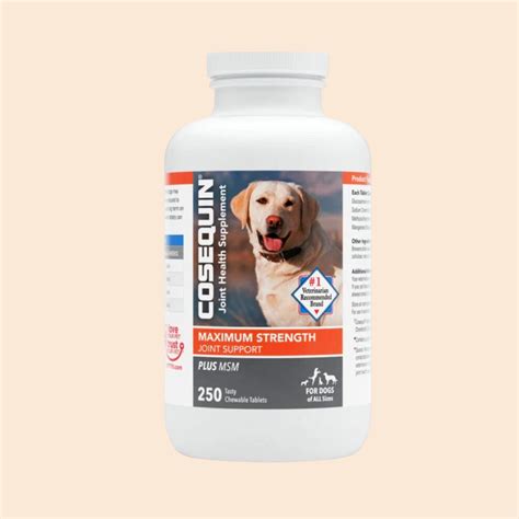 Best Joint Supplements for Senior Dogs - Furry Aging