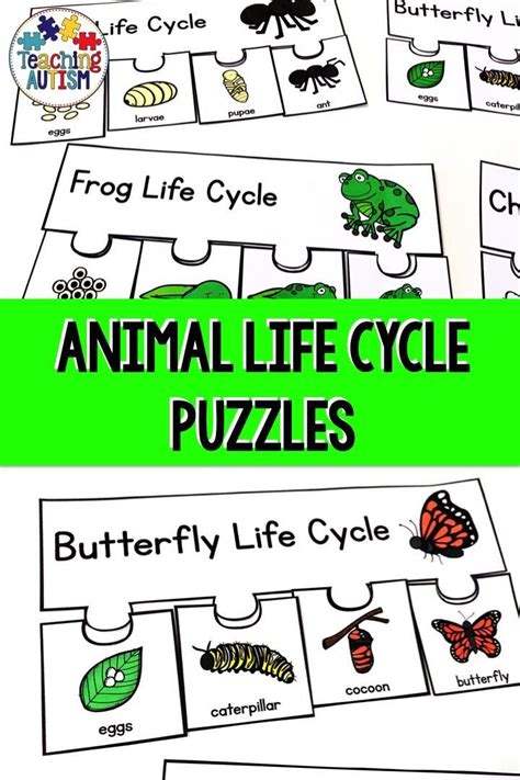 Animal Life Cycles Puzzles | Animal life cycles, Life cycles activities ...