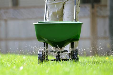 Spring Lawn Fertilizer: 7 of Our Best Picks | The Family Handyman