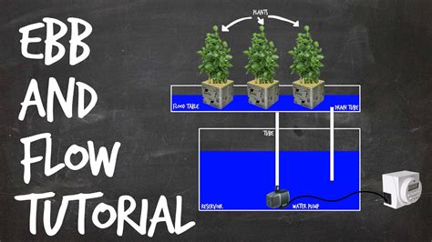 Ebb and flow hydroponics - GoPlanter