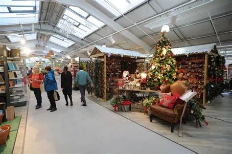 First look inside Blooms Garden Centre which is reopening two years ...