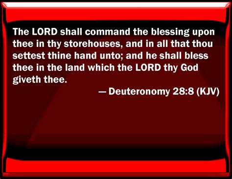 Deuteronomy 28:8 The LORD shall command the blessing on you in your storehouses, and in all that ...