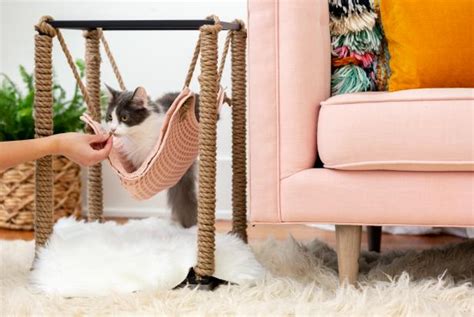 DIY Cat Hammock From Upcycled Furniture | HGTV