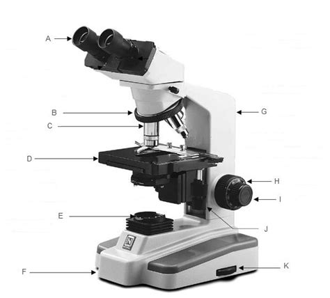 Principles of Biology Lab Quiz : Biological Science Picture Directory – Pulpbits.net