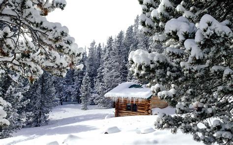 15 snow-covered cabins that will make you want to retreat to the woods | Cottage Life