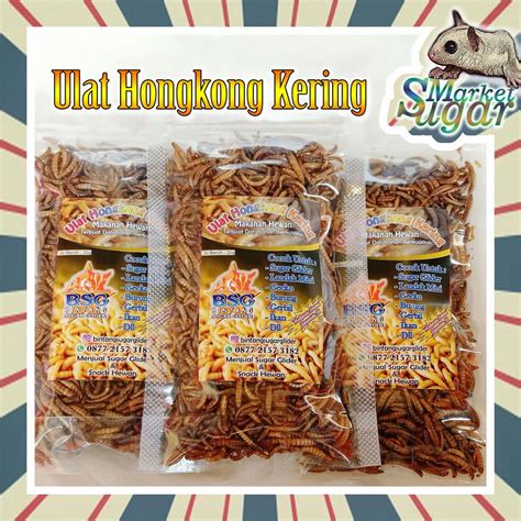 Jual Ulat hongkong kering - makanan hewan - cemilan hewan - sugar glider - protein hewan ...