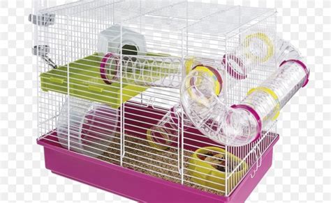 Golden Hamster Gerbil Hamster Cage, PNG, 825x510px, Hamster, Cage, Dog ...