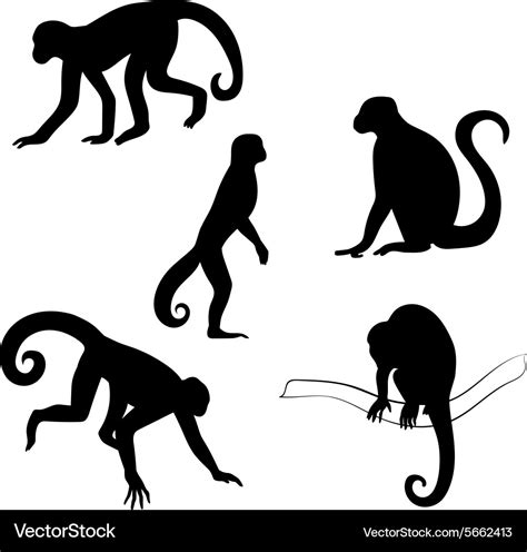 Capuchin monkey silhouettes Royalty Free Vector Image