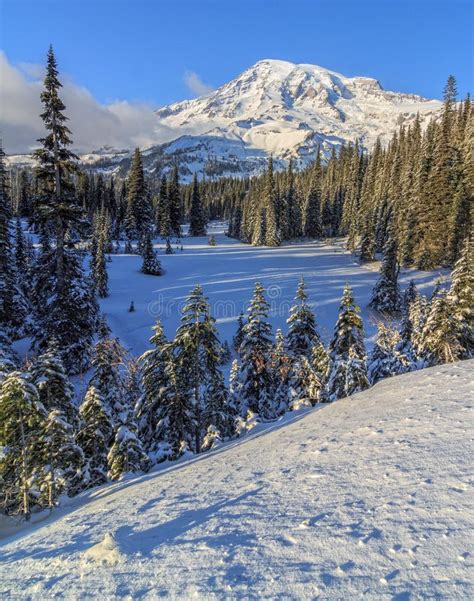 Winter in Mt. Rainier National Park Stock Image - Image of trees ...