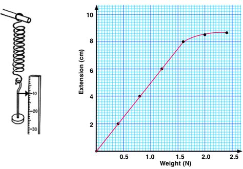 newtonian mechanics - Graph relating load force and spring extension in ...