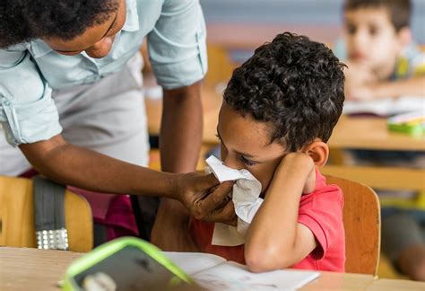 Untreated Allergies Could Be Linked to Lower Test Scores—Here's What Parents Can Do ...