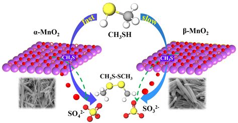 Nanomaterials | Free Full-Text | Comparative Study of α- and β-MnO2 on ...