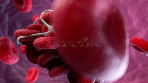 Blood Clot 3d animation stock footage. Video of clot - 119135242