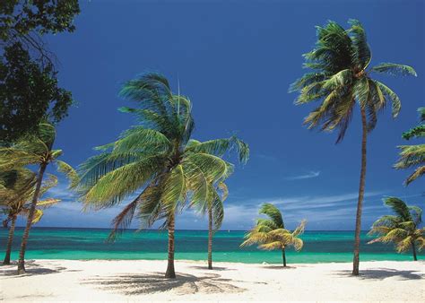 Visit Guardalavaca on a trip to Cuba | Audley Travel