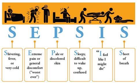 What is Bacteremia ? Definition, Vs Sepsis, Symptoms, Treatment