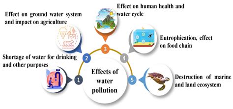 Water | Free Full-Text | A Review of the Status, Effects, Prevention ...