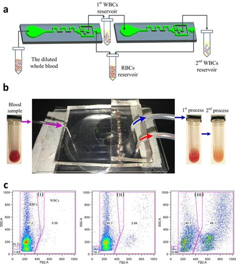 (a) A schematic of cascaded separation and purification of white blood... | Download Scientific ...