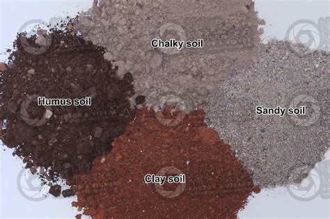 Humus chalky clay sandy soil - Types of soil structure - Types of soil structure - Rocks and ...